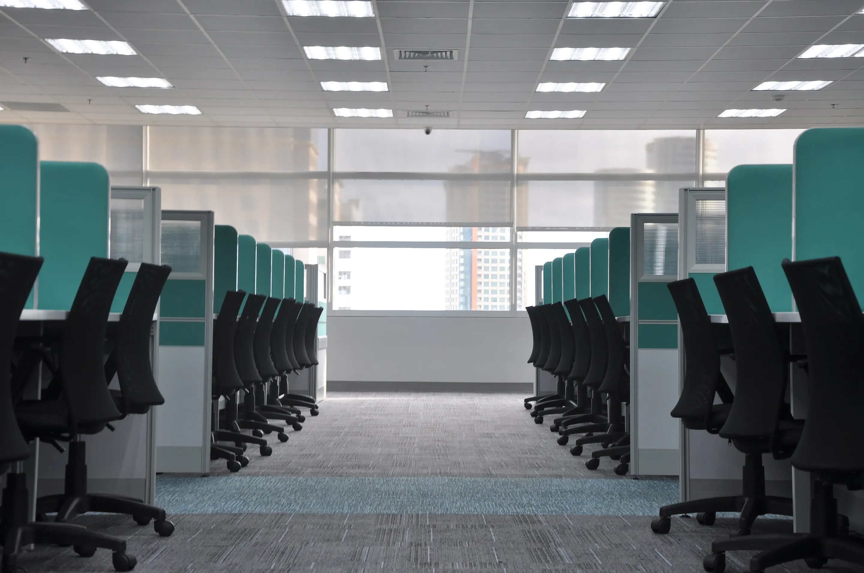 Rows of cubicles in a corporate office building.
